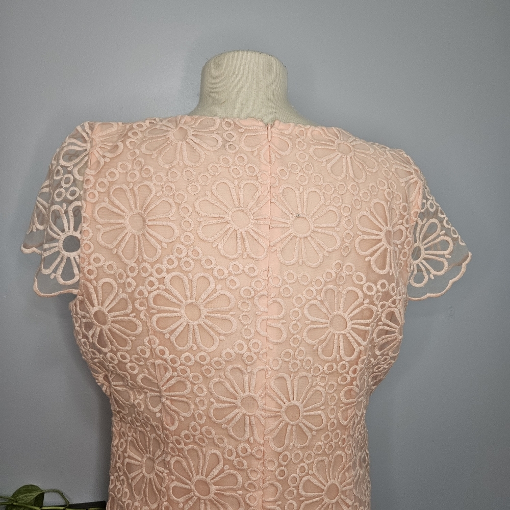 Lace Dress Size 14 New - Picture 9 of 16